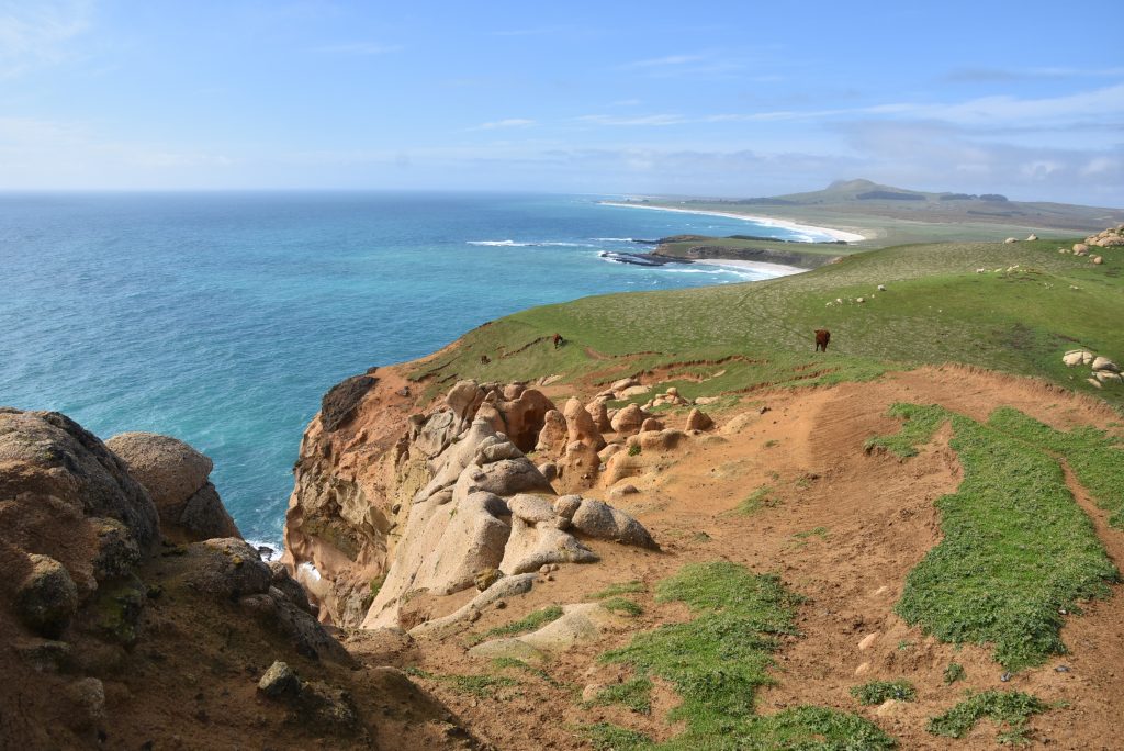 Northern Chatham Island The Chatham Islands