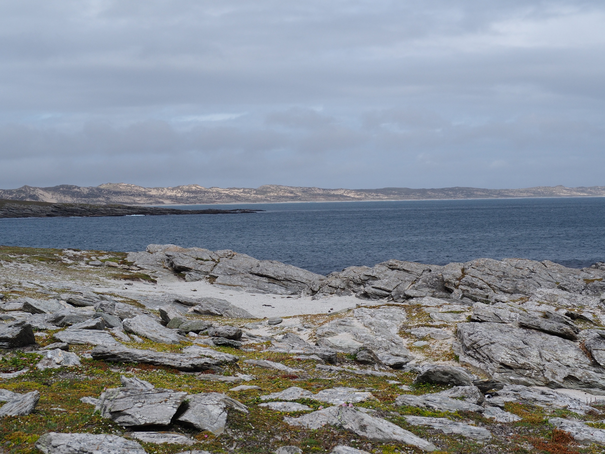 Chatham Island Tours The Chatham Islands