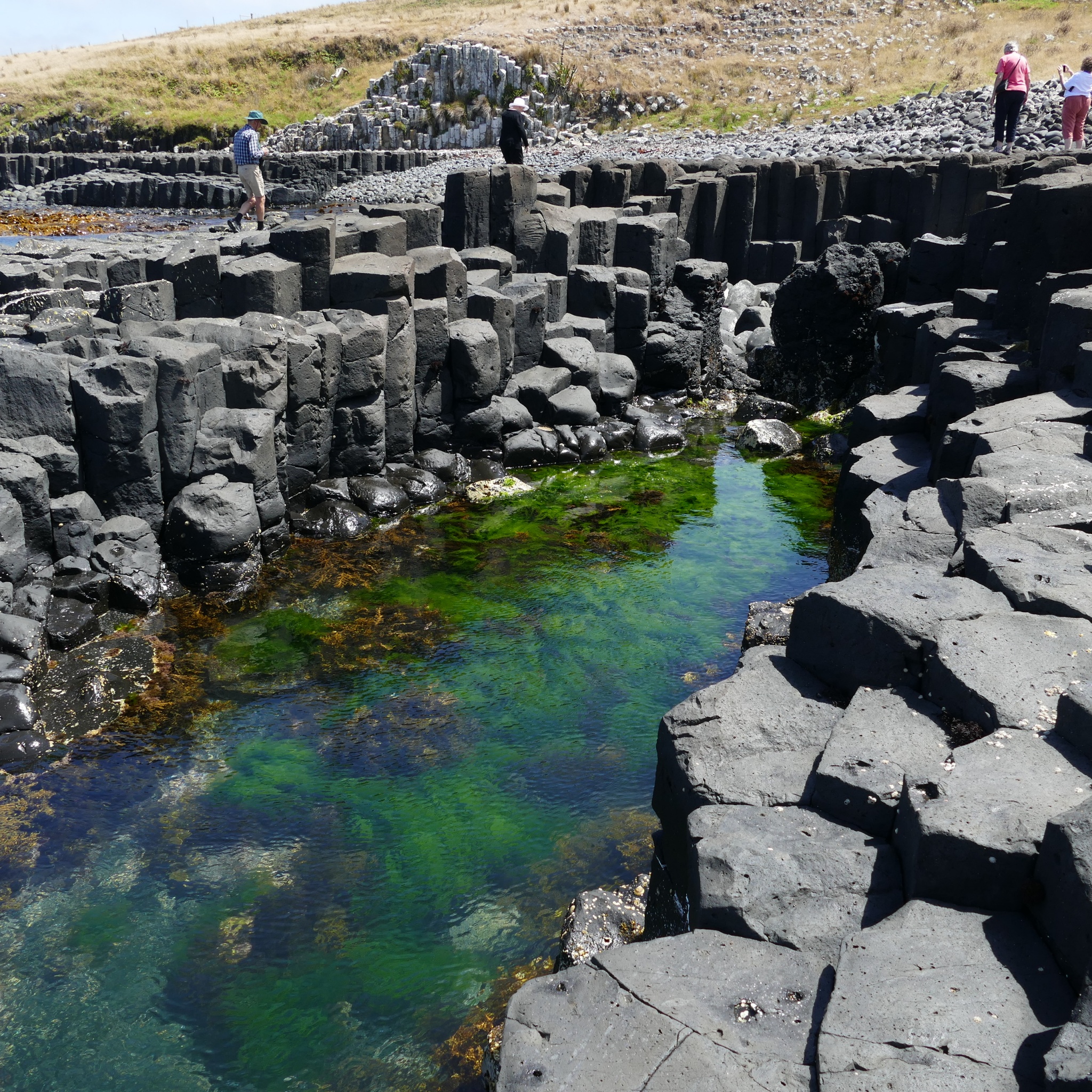 Basalt Columns The Chatham Islands