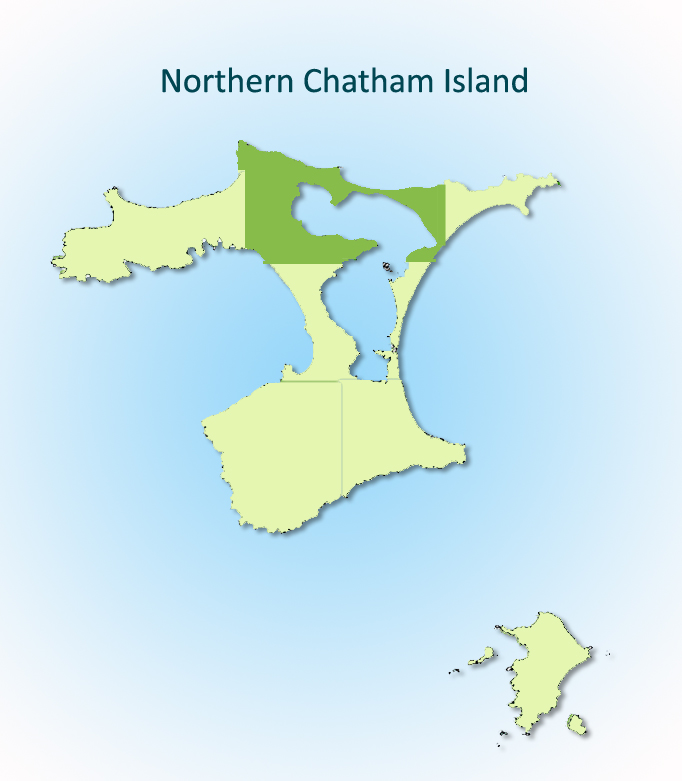 Northern Chatham Island