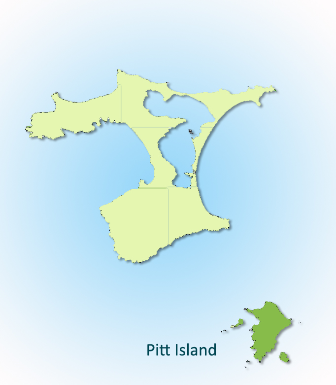 Pitt Island