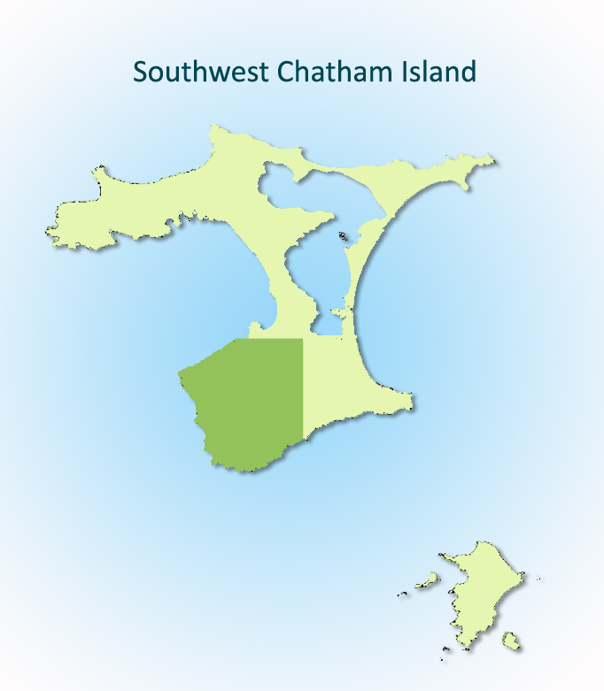 Southwest Chatham Island