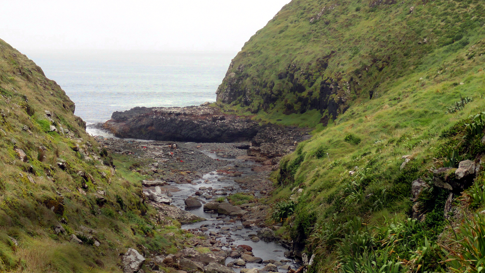 Awatotara Bush Coastal Walking Track