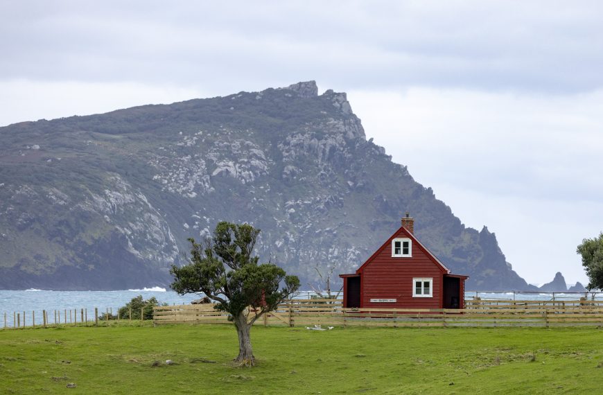 Pitt Island: A Jewel in the Chatham Islands Crown